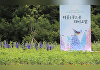 국립백두대간수목원, 여름을 물고 찾아온 제비고깔 전시