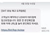 "예약하신 SKT 유심 입고"…문자 누르면 큰일난다