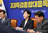 與, 3대특검 '종합대응특위' 출범…"기간 연장 등 적극 대응"