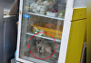 "가게 냉장고 속에 강아지가?" 알고보니…견주 "심장병 걱정돼서"