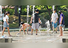 포천·가평 등 경기 내륙에 올해 첫 폭염주의보