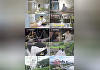 '돌싱글즈7' 재혼시 호주 신혼여행 경비지원⋯"내 마음 100%"