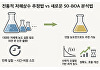수학이 '생명의 언어'임을 또 입증했다 [지금은 과학]