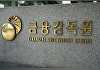 금감원 'PEF GP 검사 확대' 실효성 논란