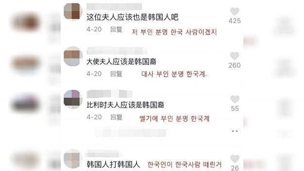 '또 폭행' 벨기에 대사 부인…中 누리꾼들 "분명 한국인" 억지 주장 - Vimarsana News