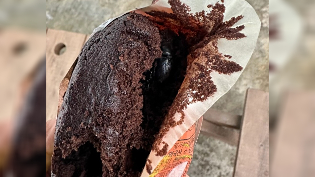 Controversy Erupts Over Discovery of Live Bugs in Convenience Store