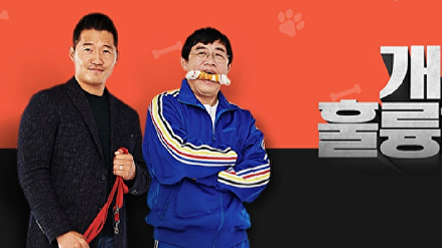 <b>강형욱</b> 논란 계속…'개훌륭' 4주연속 결방